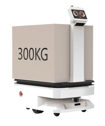Logistics Robot